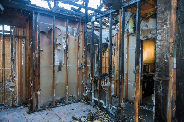 Professional Smoke Odor Removal technician working in Marlton, MD
