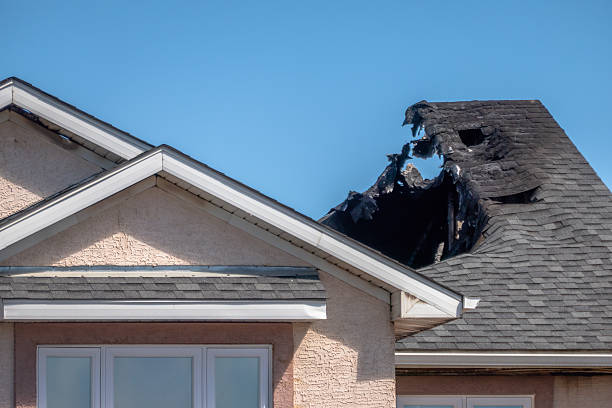 Top rated local Smoke Odor Removal specialists in Marlton, MD